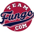 Team FUNGO — Motivational Speaker